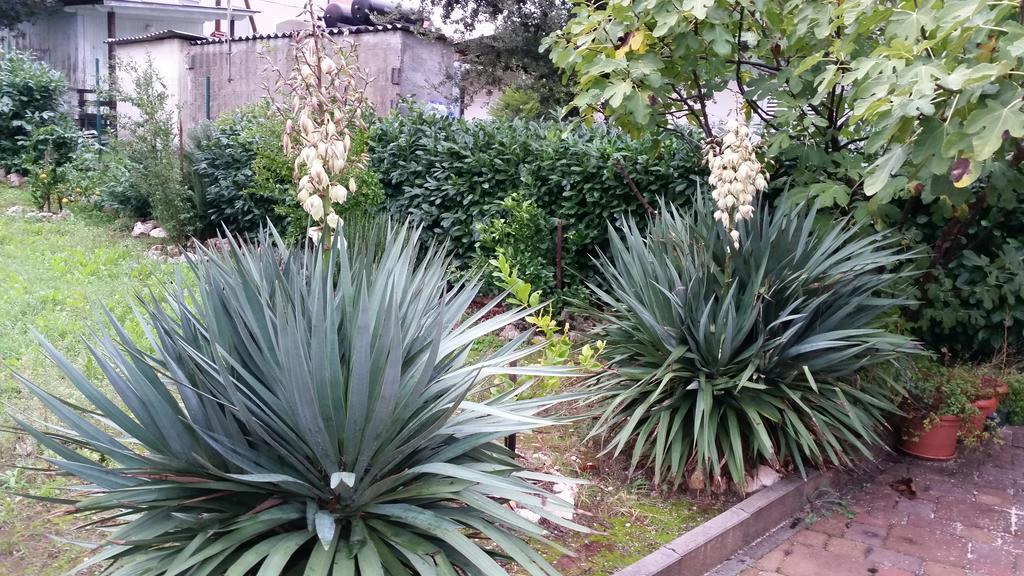 אוגייאן Apartment Sajkovic מראה חיצוני תמונה