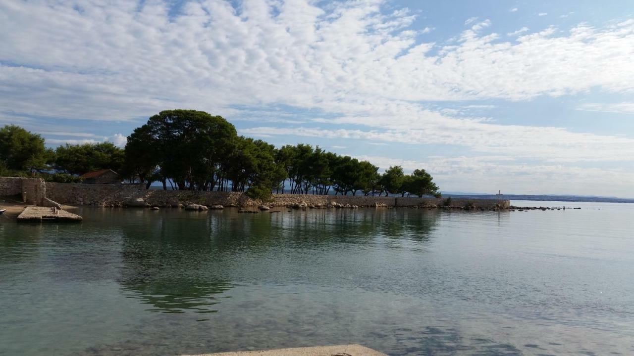 אוגייאן Apartment Sajkovic מראה חיצוני תמונה