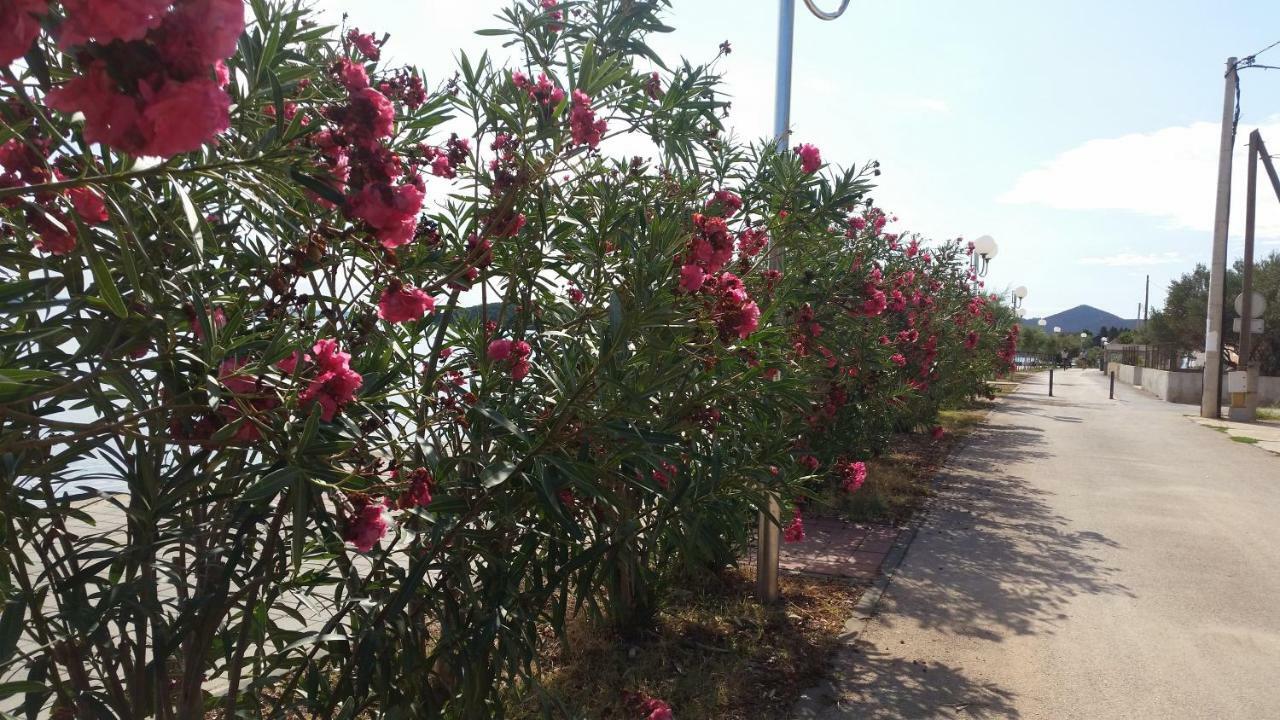 אוגייאן Apartment Sajkovic מראה חיצוני תמונה