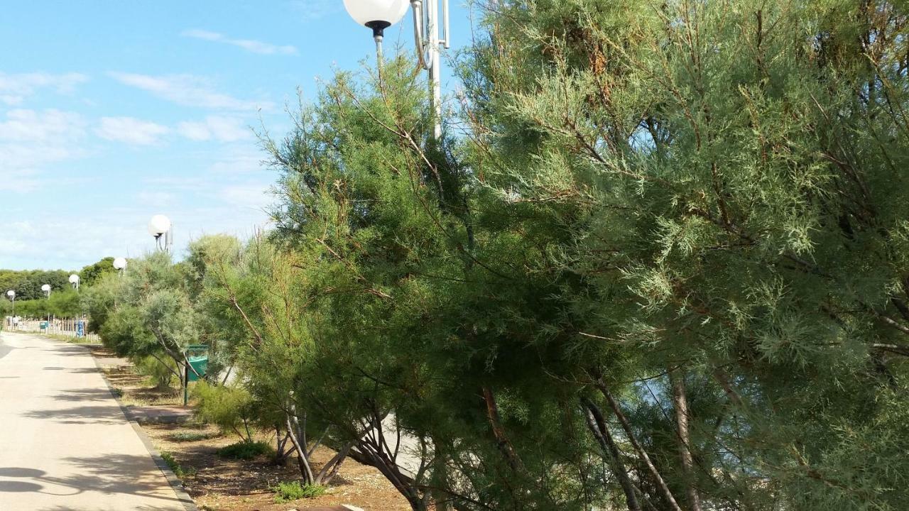 אוגייאן Apartment Sajkovic מראה חיצוני תמונה